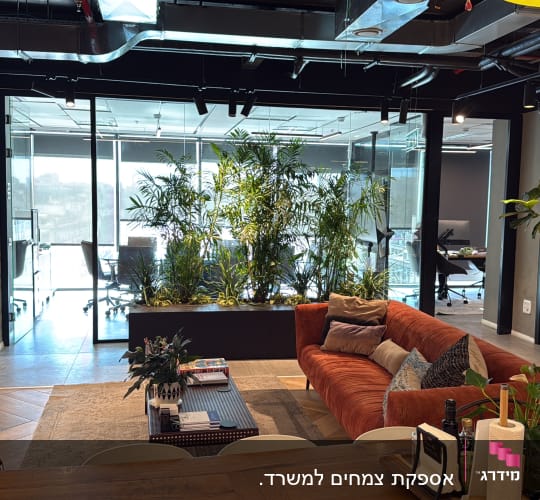 משרד עם צמחייה ועיצוב מודרני